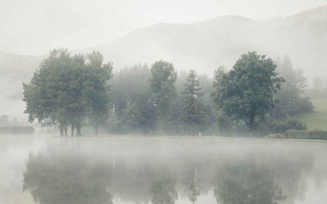 Beautiful scenary