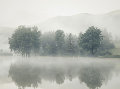 Beautiful scenary